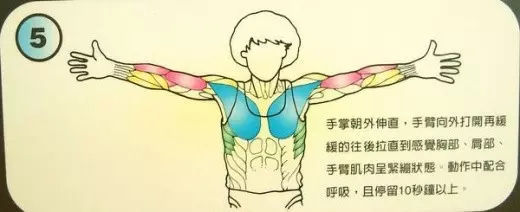 醫生背書:每天拉筋 3分鐘 3個月瘦 10公斤!這 12招全身伸展一定要記起來