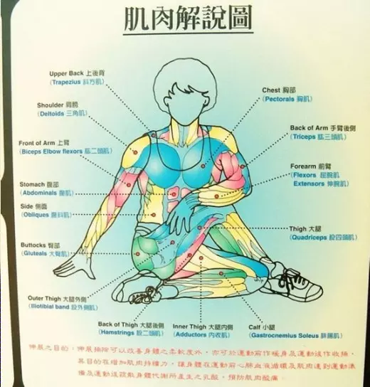 醫生背書:每天拉筋 3分鐘 3個月瘦 10公斤!這 12招全身伸展一定要記起來