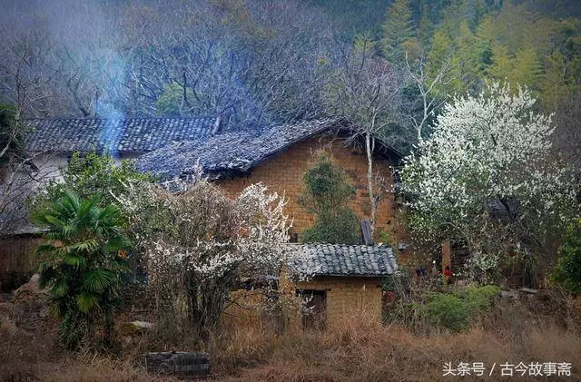 窮小子被罵一輩子打光棍,出來打工不到一年,白富美非要嫁給他