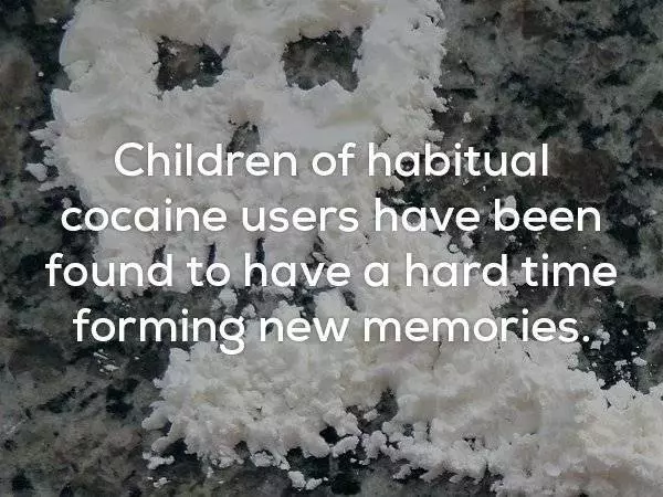 22個鮮少有人知道的冷知識!快往下看,開始這個奇妙的旅程吧!18. 由於受傷的風險很高