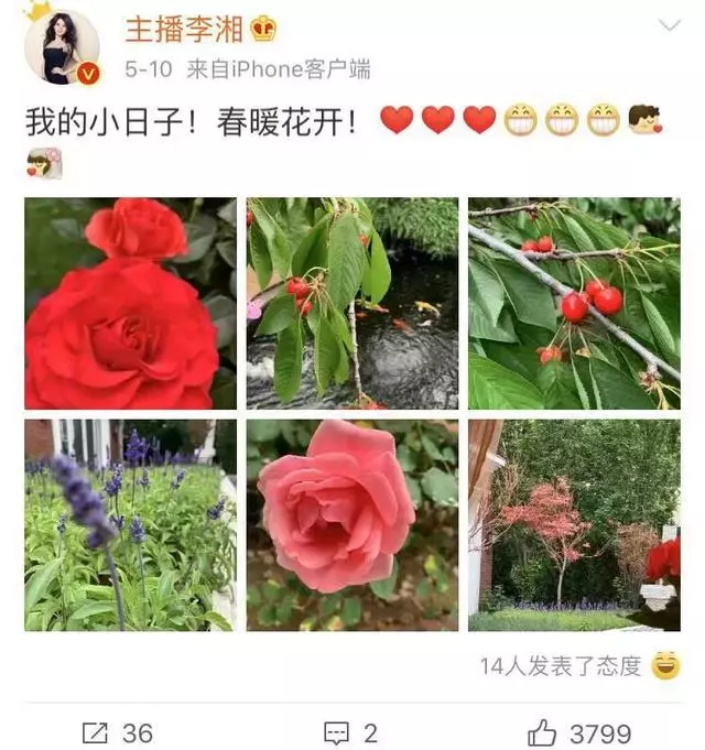 王岳倫陪同李湘母女韓國游,尾隨其後似保鏢,李湘被韓國人扶著走