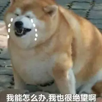 二哈老越獄,上萬網友為主人出謀劃策,最後…