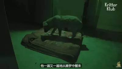 狗狗總是從睡夢中哭醒,背後的原因讓人淚目……