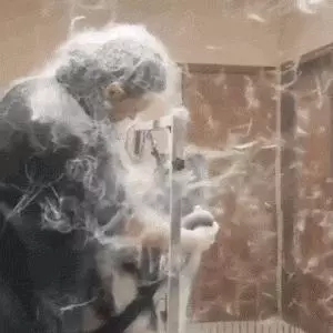 為搶玩具狗子跳起電臀舞!這麼搞笑的屁屁可以看一年!