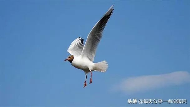 11個你不想知道的冷知識、長期酗酒會使你的大腦萎縮!