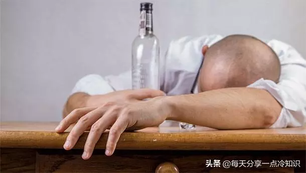 11個你不想知道的冷知識、長期酗酒會使你的大腦萎縮!