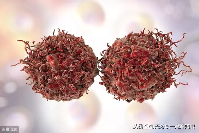 11個你不想知道的冷知識、長期酗酒會使你的大腦萎縮!