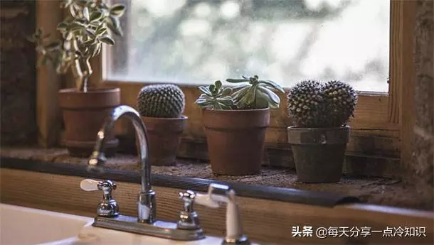 11個你不想知道的冷知識、長期酗酒會使你的大腦萎縮!