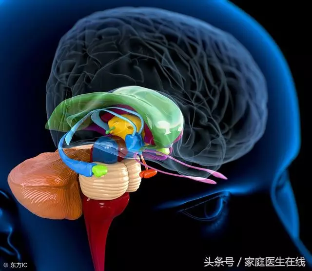 24歲男子因腦幹出血險死亡!不想腦出血,這個習慣趕緊戒掉!