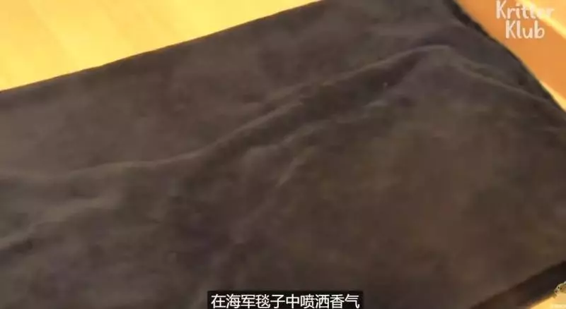 狗狗總是從睡夢中哭醒,背後的原因讓人淚目……
