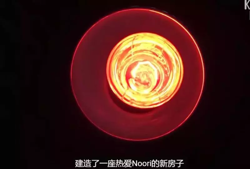 狗狗總是從睡夢中哭醒,背後的原因讓人淚目……