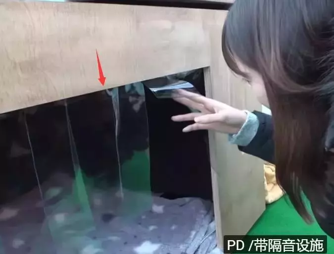 狗狗總是從睡夢中哭醒,背後的原因讓人淚目……