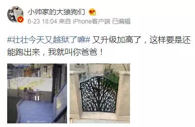 二哈老越獄,上萬網友為主人出謀劃策,最後…
