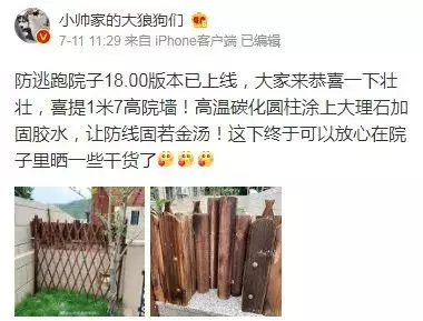 二哈老越獄,上萬網友為主人出謀劃策,最後…