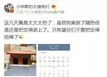 二哈老越獄,上萬網友為主人出謀劃策,最後…