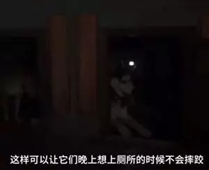 二哈老越獄,上萬網友為主人出謀劃策,最後…