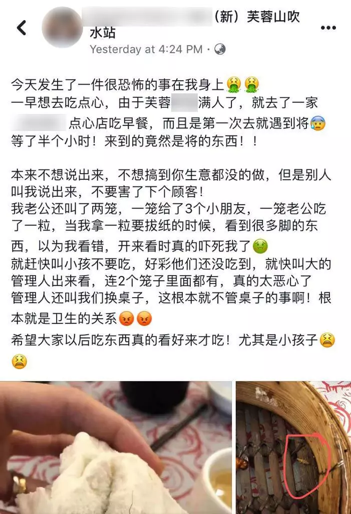 包點、蒸籠布滿小強,網民分享恐怖經驗