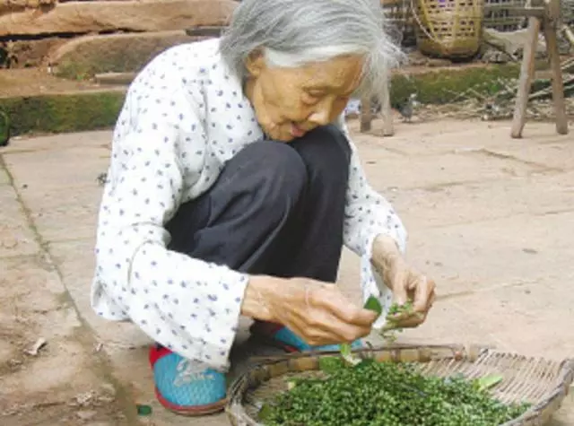 老太去兩個孩子家,每次到小兒子家吃飯卻不夾菜,原因讓人紅了眼