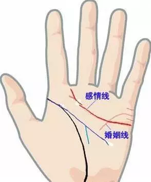男左女右教你看手相!原來大拇指第二節如果有很多紋,就代表你的財富會越旺