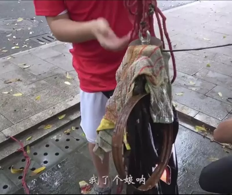 小伙用強磁打撈古井尋寶,沒想到撈上來一看,整個人都嚇傻了!