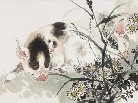 傻人有傻福的生肖(不愁沒錢花)