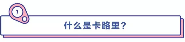 控制好熱量就能減肥成功?但事實遠非如此