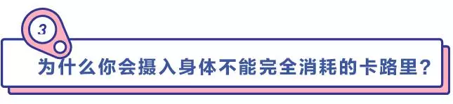 控制好熱量就能減肥成功?但事實遠非如此