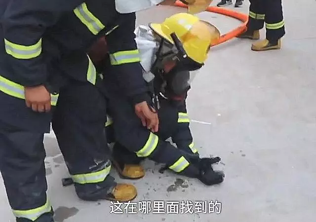 火場救出小奶狗,眼看就要沒了氣,消防員的舉動令人眼眶一熱