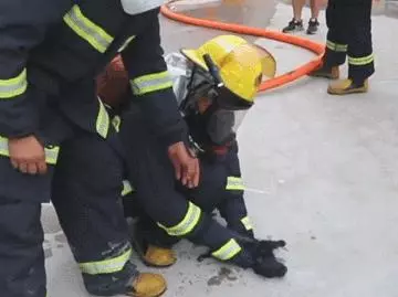 火場救出小奶狗,眼看就要沒了氣,消防員的舉動令人眼眶一熱