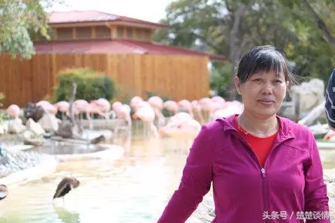 「婆婆,養兒才知報娘恩,我替老公伺候你,但不代表我就欠你!」