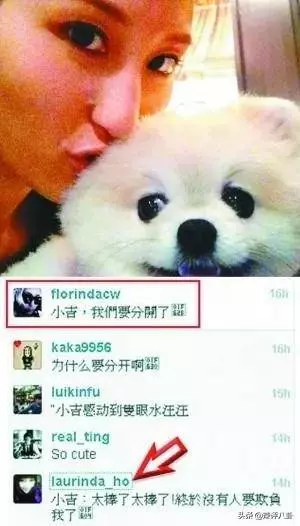 拋棄正妻放棄事業,追求賭王女兒同游歐洲,最終豪門夢碎一切成空