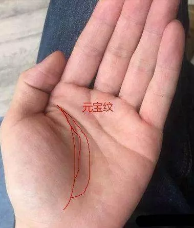 可遇而不可求的手相!一輩子富貴壽全,財運最佳 !