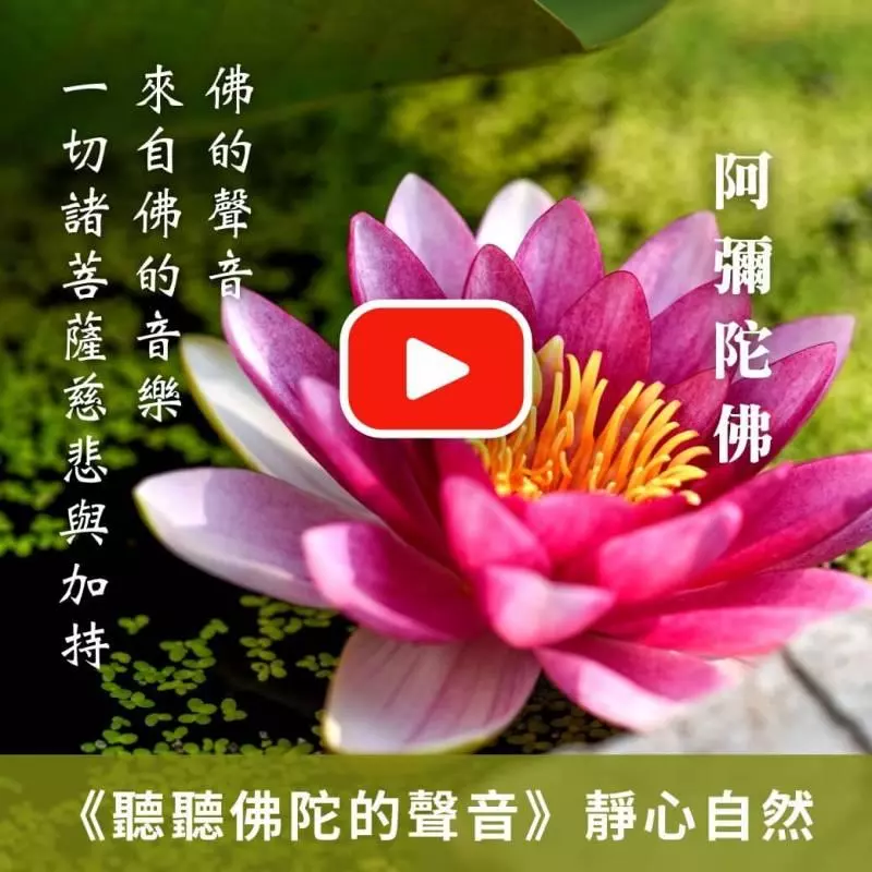 女人哪裡越有肉,財庫越滿,家中越有錢!