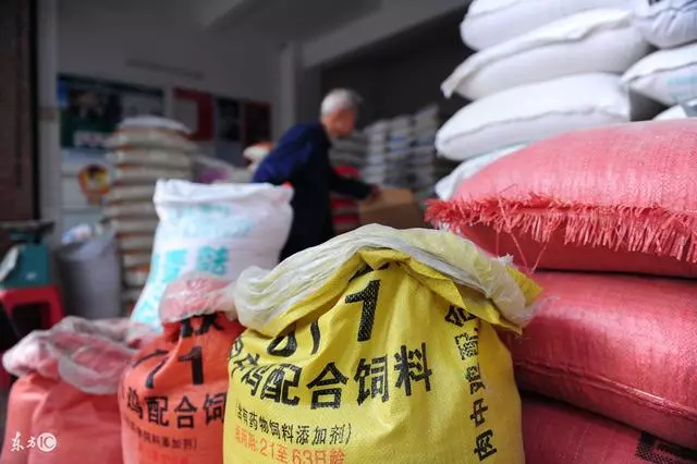 兩個哥哥家辦喜事,我故意一個給兩萬的份子錢,一個給五百