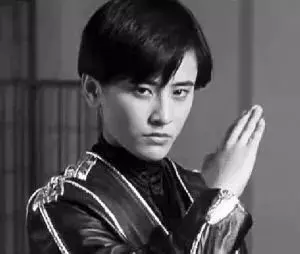 曾經的功夫女星, 貌美如花卻無人敢娶, 洪金寶承認打不過她 !