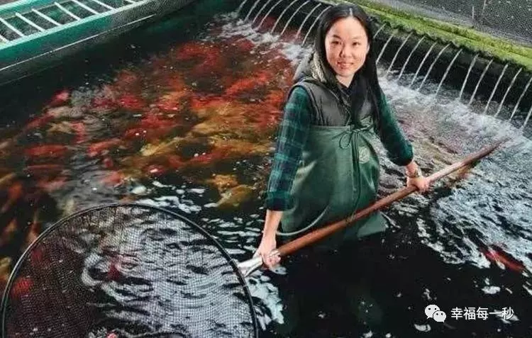 「清華大學生」欠債2個億,只能輟學去養魚,結果一條魚賣2億300!