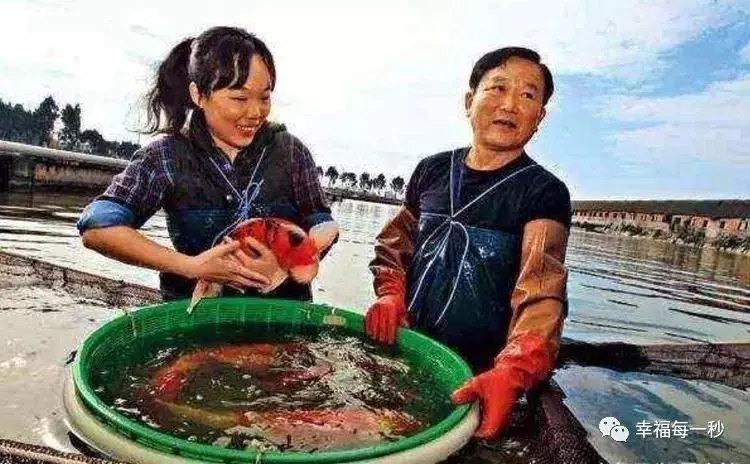 「清華大學生」欠債2個億,只能輟學去養魚,結果一條魚賣2億300!