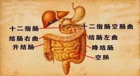 睡前抬抬腳,全身百病消,每天15分鐘,抬走三高,抬出健康,安心睡到大天亮