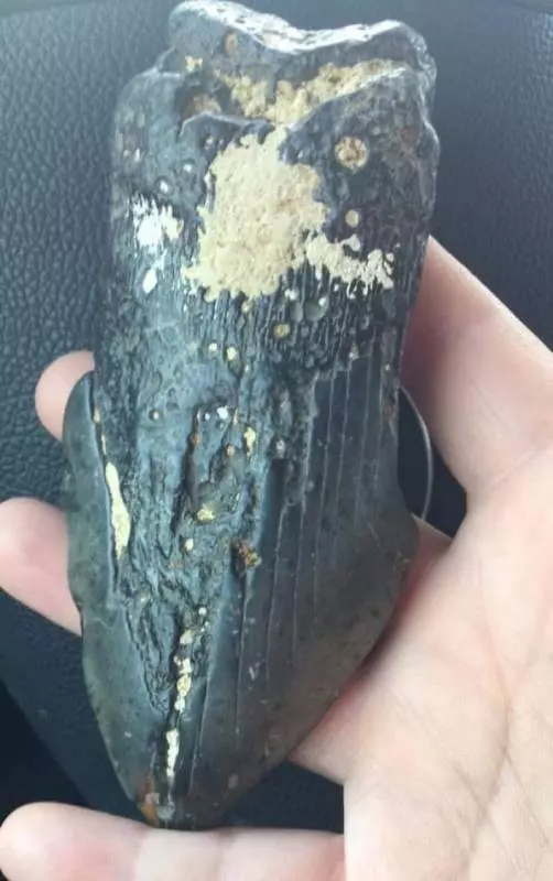 15個證明「網友比維基百科還猛」的問答 他在床底發現奇怪機器…竟挖出超毛真相!!