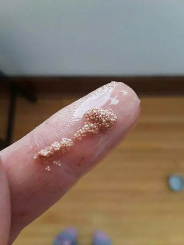 15個證明「網友比維基百科還猛」的問答 他在床底發現奇怪機器…竟挖出超毛真相!!