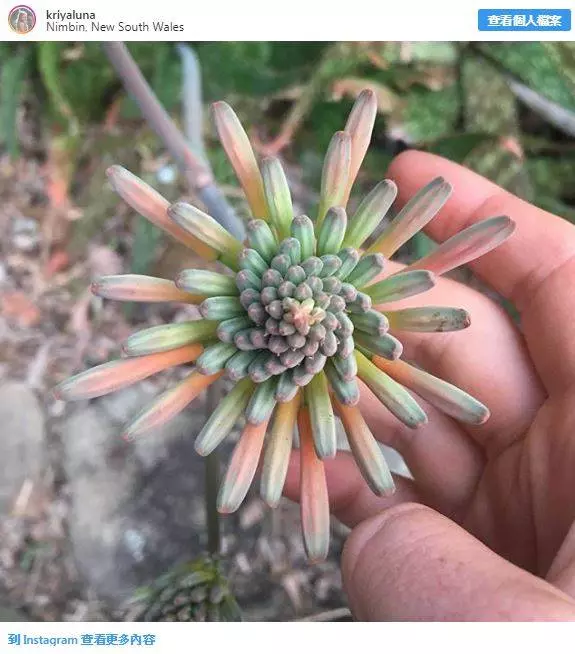 22張可以安撫你情緒的療愈圖片,快來接受挑戰吧!
