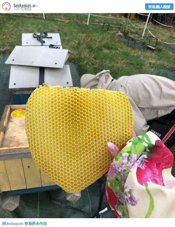 22張可以安撫你情緒的療愈圖片,快來接受挑戰吧!