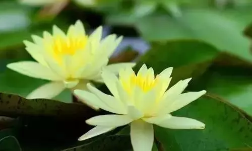 這輩子有你真好我最親愛的老伴,卻看哭了所有人!