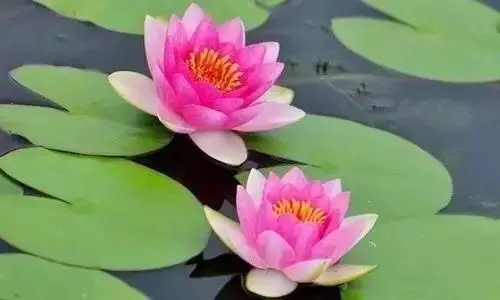 這輩子有你真好我最親愛的老伴,卻看哭了所有人!