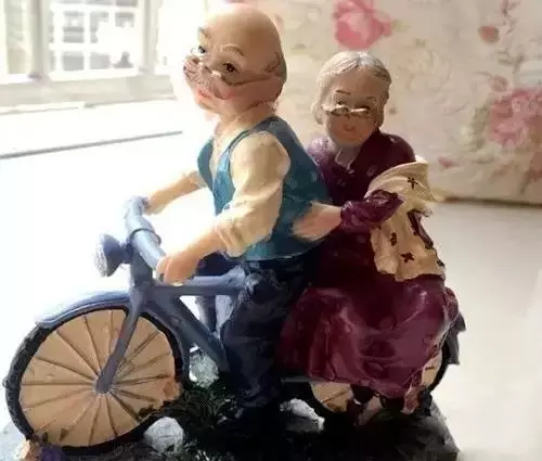 這輩子有你真好我最親愛的老伴,卻看哭了所有人!