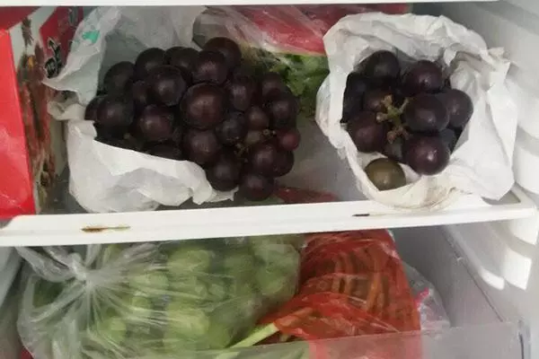 為什麼食物放進冰箱,拿出來吃會肚子疼?很多人會忽視,要重視