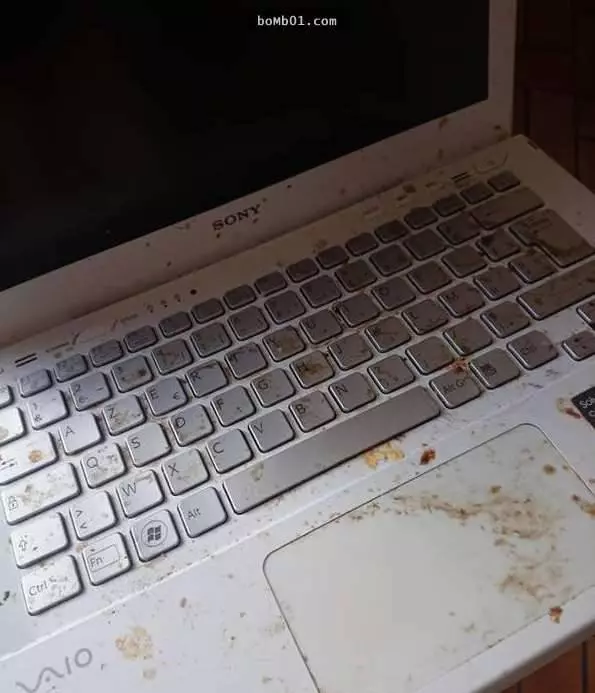 17張IT從業者看了後可能會心痛到流淚的照片!