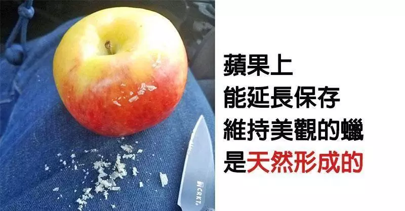 各種食物傳言6個的「錯誤迷思」 你們害怕的「油炸食物」也是有優點的!