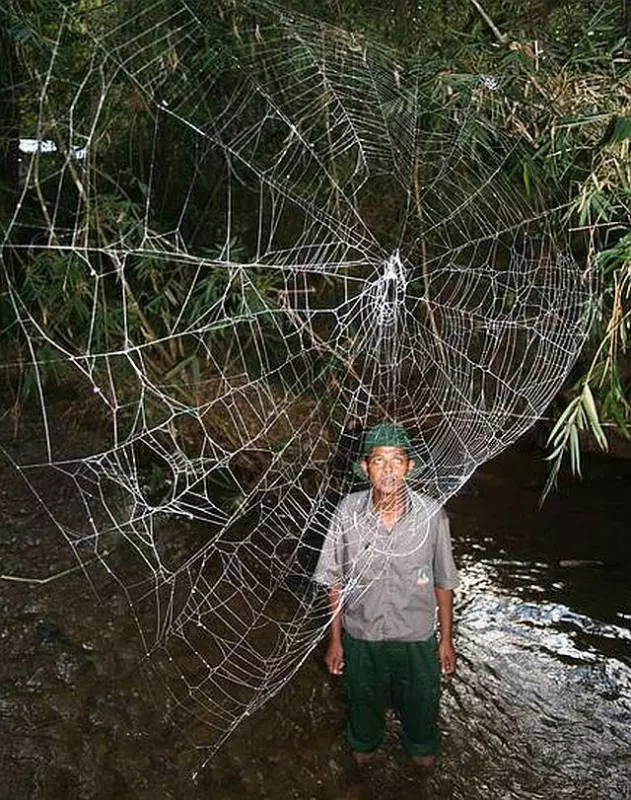 13個動物界的冷知識!不說你不知道,趕快來看看吧!