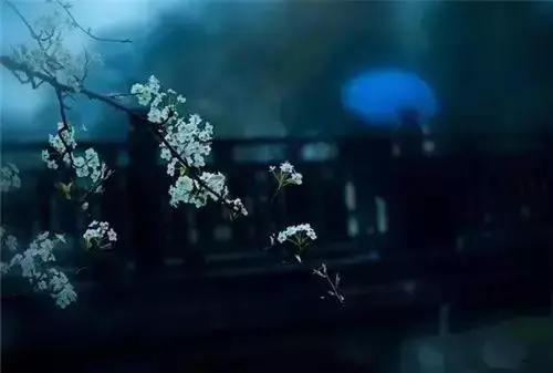 你受得了何種委屈,決定你能成為何種人